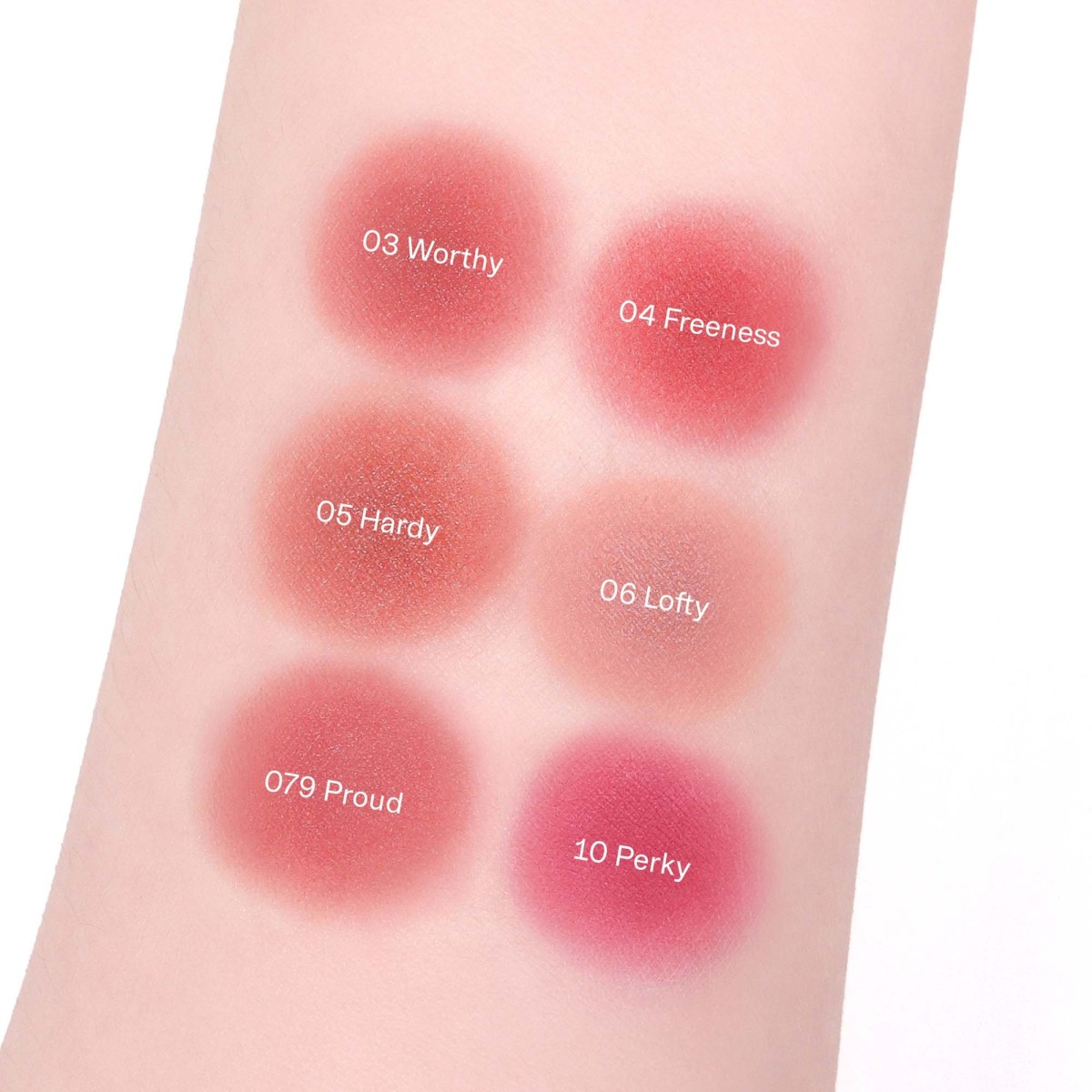 Lipsleek Blur · BRAYE | MiiN Cosmetics