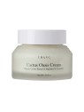 Cactus Oasis Cream · Urang | MiiN Cosmetics